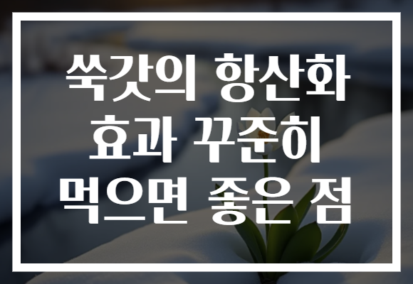 쑥갓의 항산화 효과 꾸준히 먹으면 좋은 점