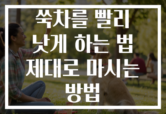 쑥차를 빨리 낫게 하는 법 제대로 마시는 방법