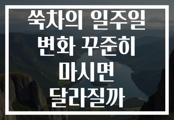 쑥차의 일주일 변화 꾸준히 마시면 달라질까