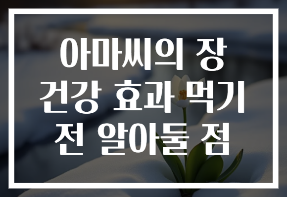 아마씨의 장 건강 효과 먹기 전 알아둘 점