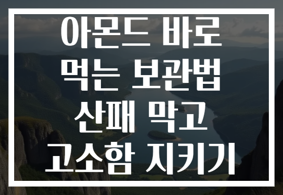 아몬드 바로 먹는 보관법 산패 막고 고소함 지키기