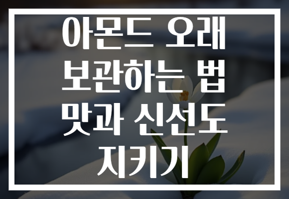 아몬드 오래 보관하는 법 맛과 신선도 지키기