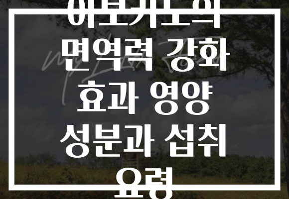 아보카도의 면역력 강화 효과 영양 성분과 섭취 요령