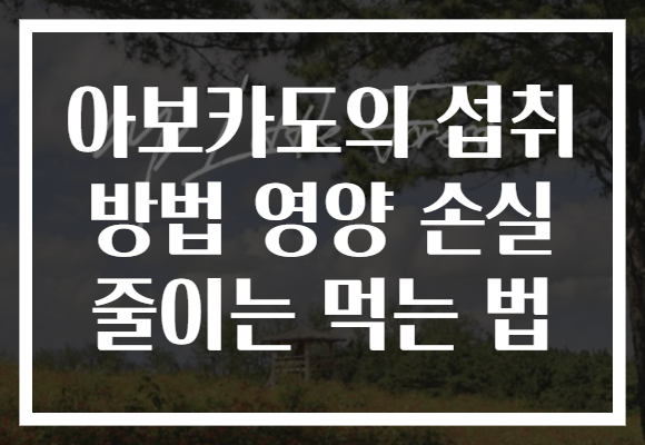 아보카도의 섭취 방법 영양 손실 줄이는 먹는 법