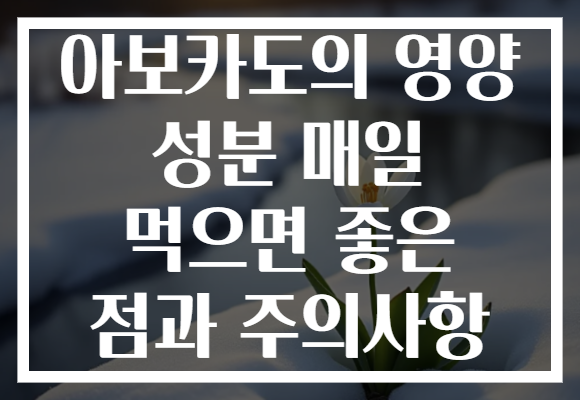아보카도의 영양 성분 매일 먹으면 좋은 점과 주의사항