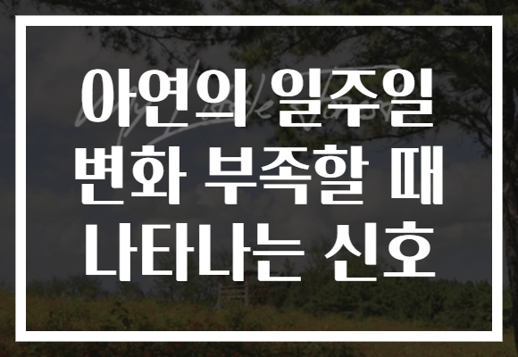 아연의 일주일 변화 부족할 때 나타나는 신호