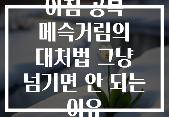 아침 공복 메슥거림의 대처법 그냥 넘기면 안 되는 이유
