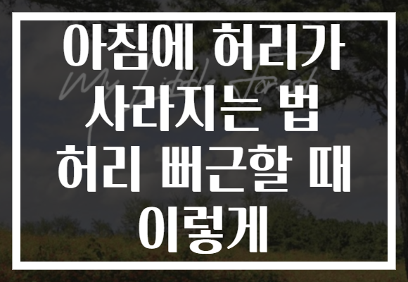 아침에 허리가 사라지는 법 허리 뻐근할 때 이렇게