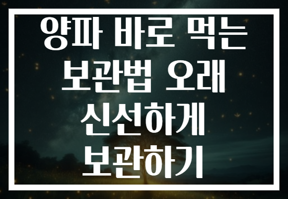 양파 바로 먹는 보관법 오래 신선하게 보관하기