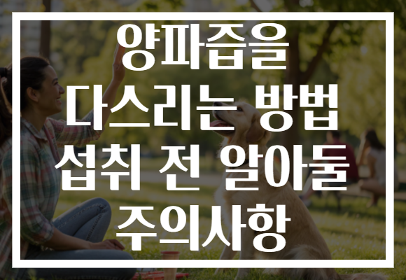 양파즙을 다스리는 방법 섭취 전 알아둘 주의사항