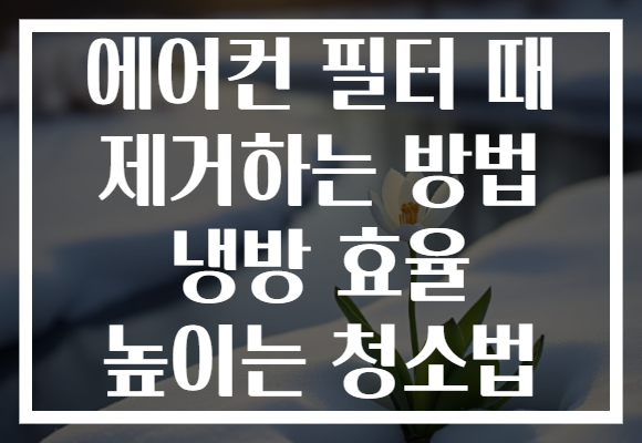 에어컨 필터 때 제거하는 방법 냉방 효율 높이는 청소법