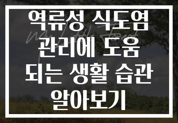 역류성 식도염 관리에 도움 되는 생활 습관 알아보기