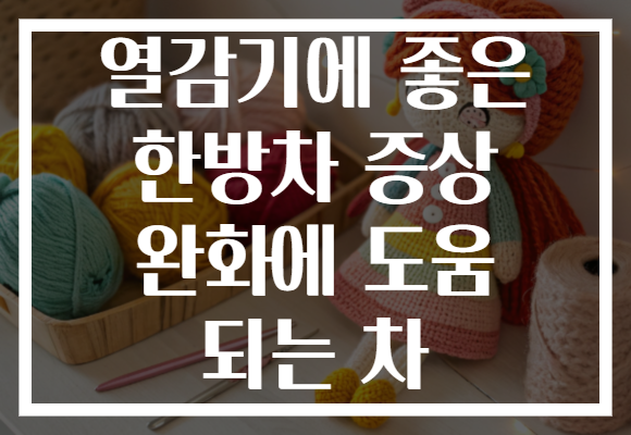 열감기에 좋은 한방차 증상 완화에 도움 되는 차