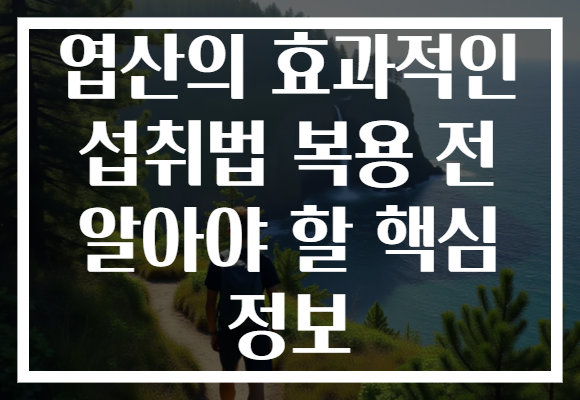 엽산의 효과적인 섭취법 복용 전 알아야 할 핵심 정보