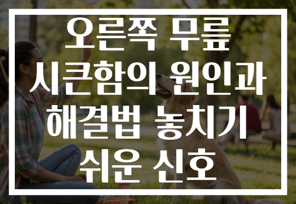 오른쪽 무릎 시큰함의 원인과 해결법 놓치기 쉬운 신호