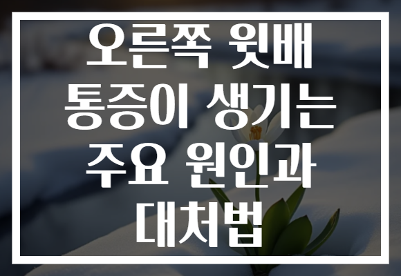 오른쪽 윗배 통증이 생기는 주요 원인과 대처법