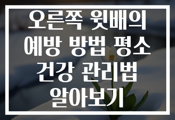 오른쪽 윗배의 예방 방법 평소 건강 관리법 알아보기