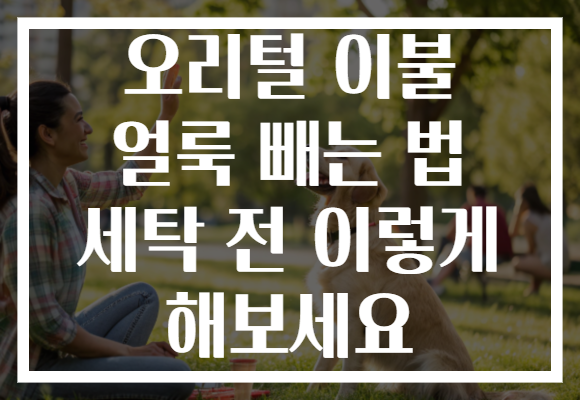 오리털 이불 얼룩 빼는 법 세탁 전 이렇게 해보세요