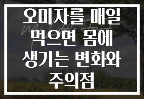 오미자를 매일 먹으면 몸에 생기는 변화와 주의점