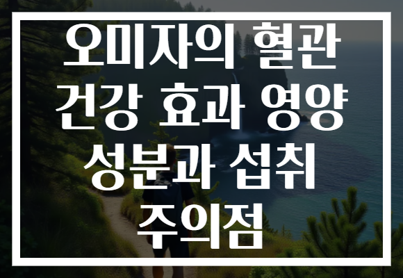 오미자의 혈관 건강 효과 영양 성분과 섭취 주의점