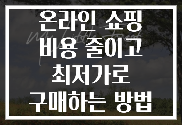 온라인 쇼핑 비용 줄이고 최저가로 구매하는 방법