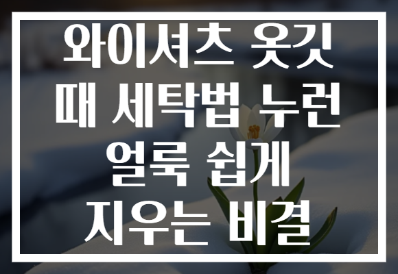 와이셔츠 옷깃 때 세탁법 누런 얼룩 쉽게 지우는 비결
