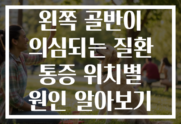 왼쪽 골반이 의심되는 질환 통증 위치별 원인 알아보기
