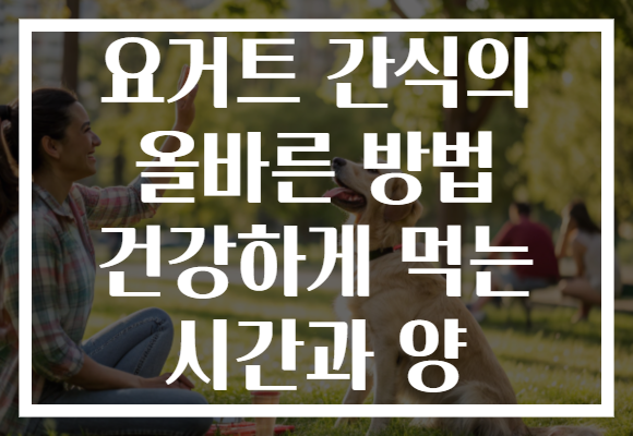요거트 간식의 올바른 방법 건강하게 먹는 시간과 양
