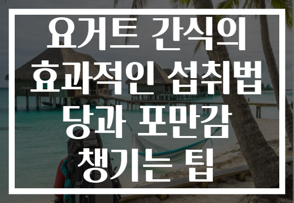 요거트 간식의 효과적인 섭취법 당과 포만감 챙기는 팁