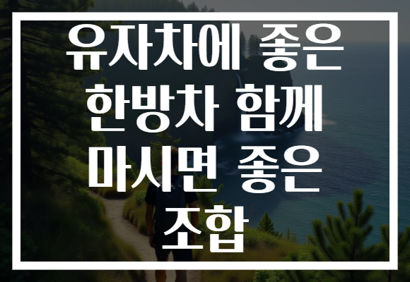 유자차에 좋은 한방차 함께 마시면 좋은 조합