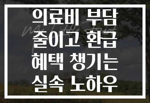 의료비 부담 줄이고 환급 혜택 챙기는 실속 노하우