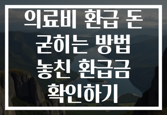 의료비 환급 돈 굳히는 방법 놓친 환급금 확인하기