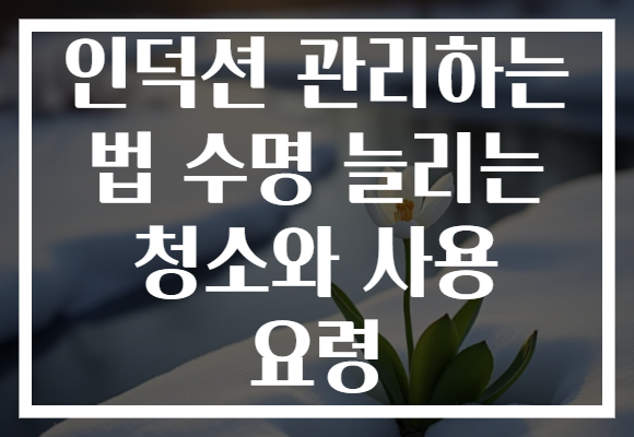 인덕션 관리하는 법 수명 늘리는 청소와 사용 요령
