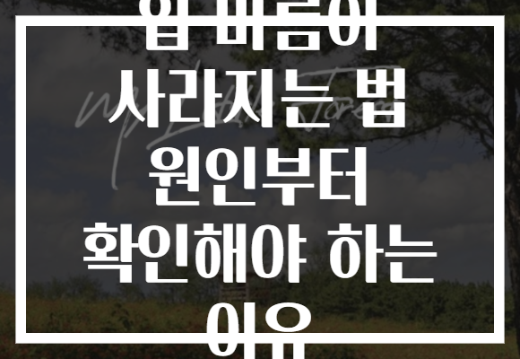 입 마름이 사라지는 법 원인부터 확인해야 하는 이유