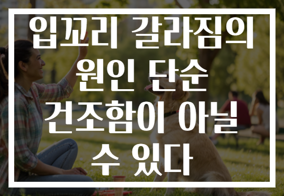 입꼬리 갈라짐의 원인 단순 건조함이 아닐 수 있다