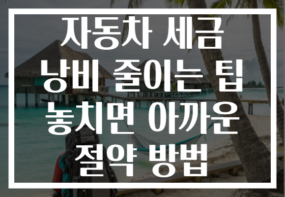 자동차 세금 낭비 줄이는 팁 놓치면 아까운 절약 방법