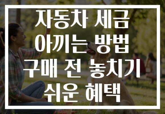 자동차 세금 아끼는 방법 구매 전 놓치기 쉬운 혜택