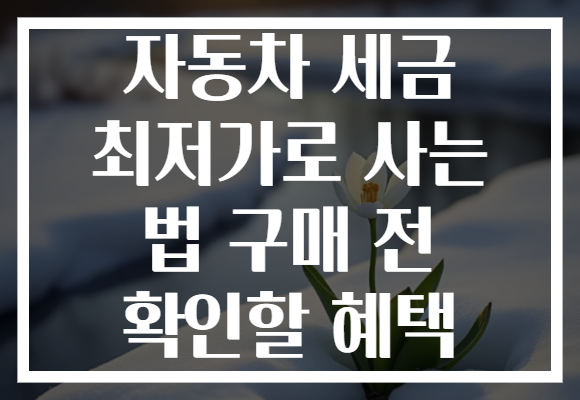 자동차 세금 최저가로 사는 법 구매 전 확인할 혜택