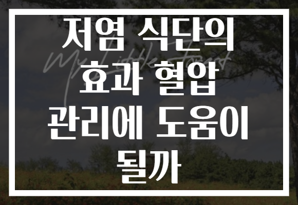 저염 식단의 효과 혈압 관리에 도움이 될까