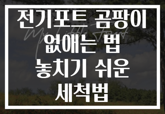 전기포트 곰팡이 없애는 법 놓치기 쉬운 세척법