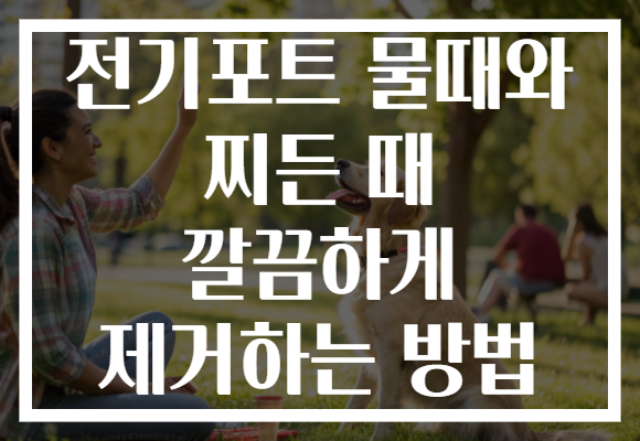 전기포트 물때와 찌든 때 깔끔하게 제거하는 방법