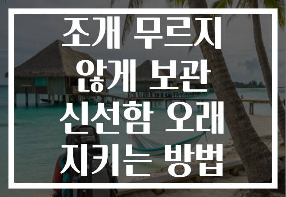 조개 무르지 않게 보관 신선함 오래 지키는 방법