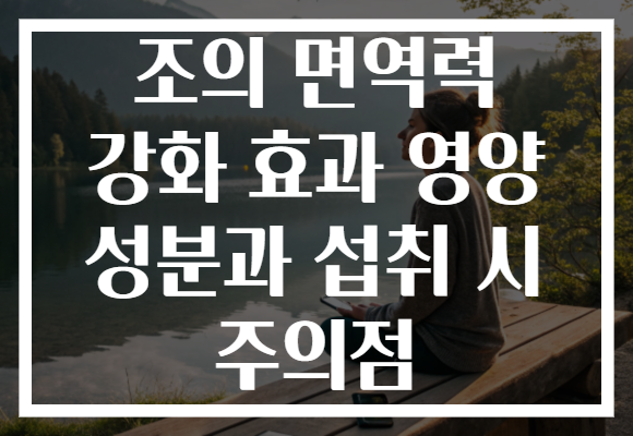 조의 면역력 강화 효과 영양 성분과 섭취 시 주의점