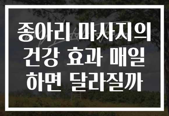 종아리 마사지의 건강 효과 매일 하면 달라질까