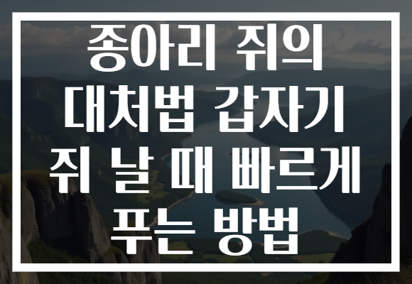 종아리 쥐의 대처법 갑자기 쥐 날 때 빠르게 푸는 방법