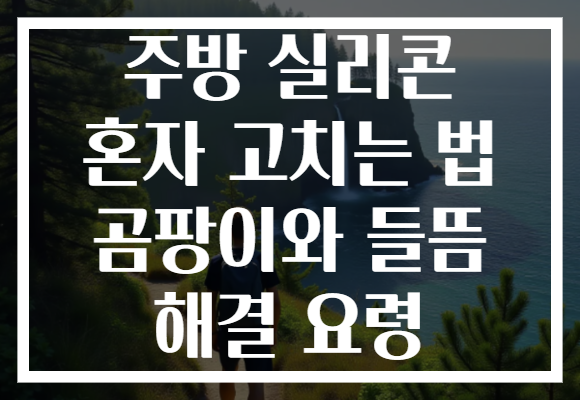주방 실리콘 혼자 고치는 법 곰팡이와 들뜸 해결 요령