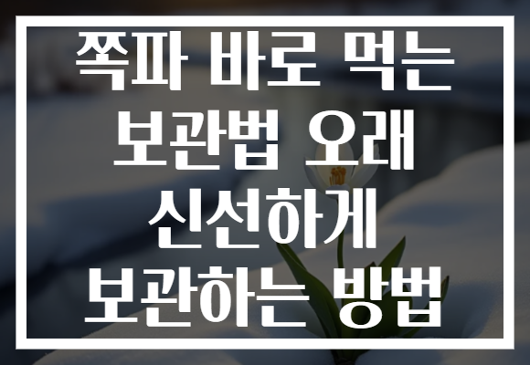쪽파 바로 먹는 보관법 오래 신선하게 보관하는 방법