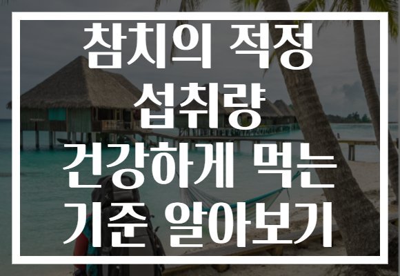 참치의 적정 섭취량 건강하게 먹는 기준 알아보기