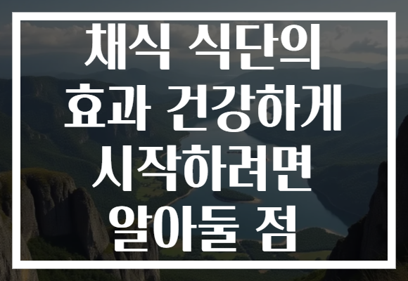 채식 식단의 효과 건강하게 시작하려면 알아둘 점