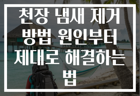 천장 냄새 제거 방법 원인부터 제대로 해결하는 법